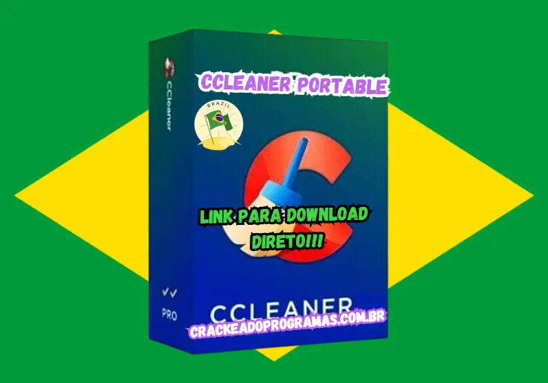 ccleaner professioanl portable