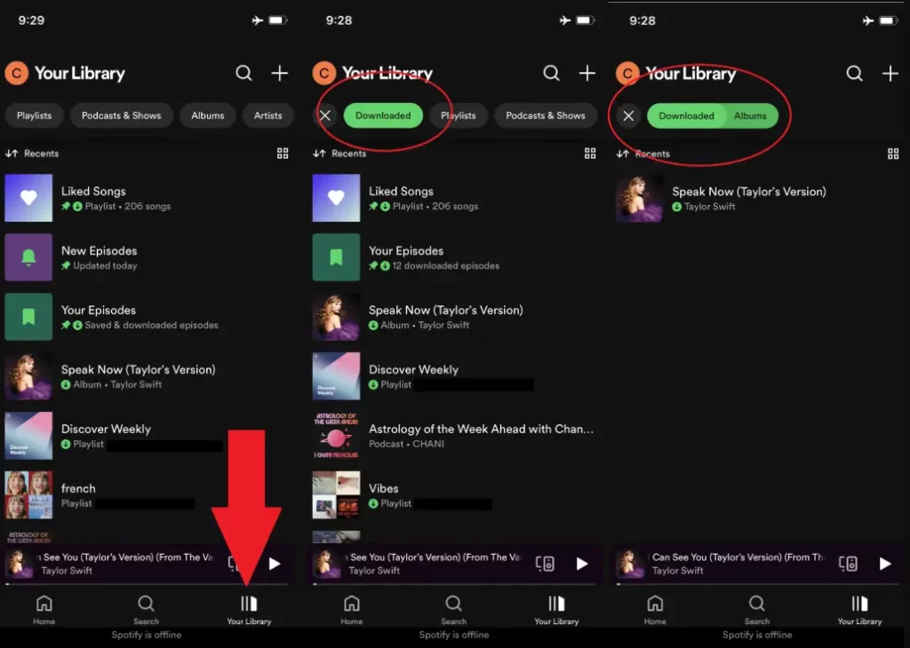 spotify download