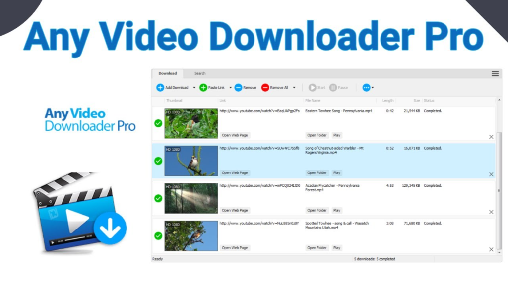 Any Video Downloader Pro 9.6.6 Cracked